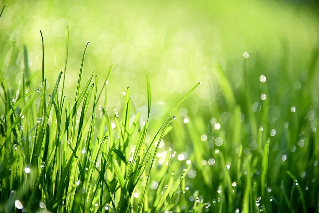 KS��ʱ��(�й���)�ٷ���վ